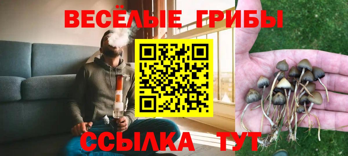 Семилуки  Галлюциногенные грибы GOLDEN TEACHER  Вход с VPN  Псилоцибиновые грибы Psilocybe 